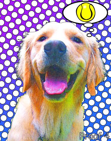breed specific Golden Retriever dog portrait