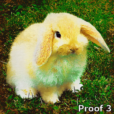 custom bunny portrait and gifts