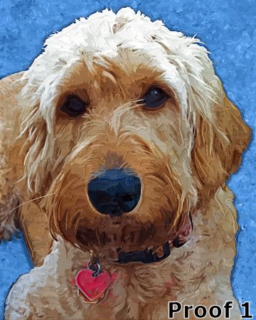 Unique Golden Doodle portraits