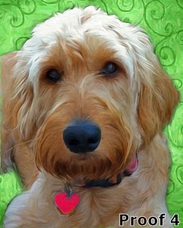 Golden Doodle portraits and gifts